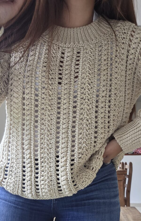 Patron Sweater "Chachacha" - Imagen 4